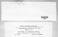 Leptosphaeria doliolum image